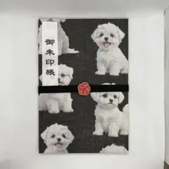 Item thumbnail for item 7d6e47f5-5823-42c2-8507-7221e31c1dc9