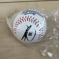 中日ドラゴンズ 細川成也 55 サイン ボールキーチェーン キーホルダー