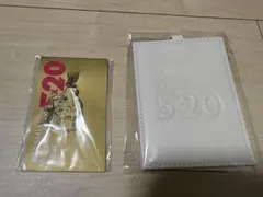 ARASHI 5x20 TOUR パスケース＆限定チャーム