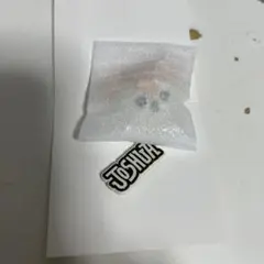 SEVENTEEN miniteen ジョシュア　マグネット