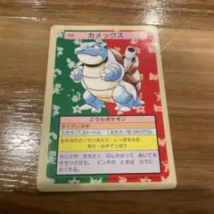 ポケモンカード トップサン カメックス 裏緑