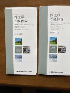 株主優待　東急不動産HD 2025年12月 100株分　2冊セット