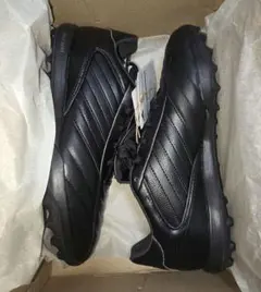 Item thumbnail for item 87e9de6d-46d8-406c-ab33-94eb51ccb198