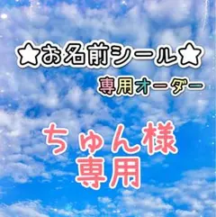 ＊＊＊ちゅん様専用＊＊＊