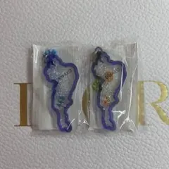 琵琶湖キーホルダー 2個セット
