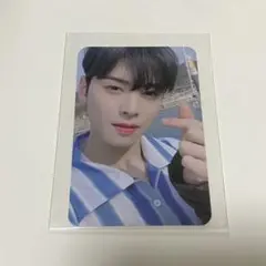 チャウヌ トレカ