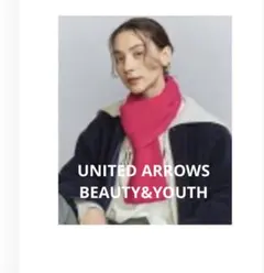 UNITED ARROWS BEAUTY&YOUTH ミニマフラー 【値下げ中】