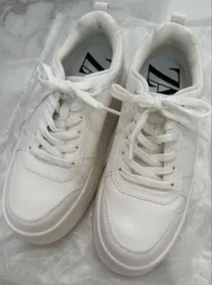 Item thumbnail for item 18ad0e7f-95b8-47c0-ac42-50495e5a90d5