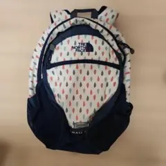THE NORTH FACE 小型リュック