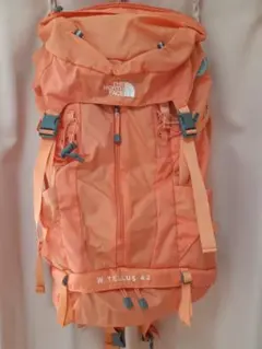 最終値下げ✩.*˚美品THE NORTH FACE W TELLUS