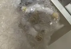 ハンターハンター 一番くじ　ケーブルホルダー　ホワイトゴレイヌ　I賞