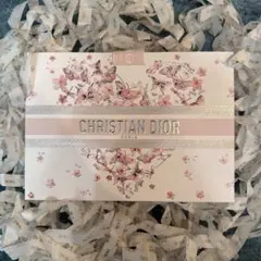 CHRISTIAN DIOR 2026 春　緩衝材付き