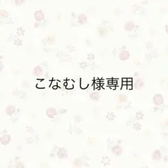 こなむし様専用