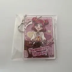 プリキュア アクリルキーホルダー 夢原のぞみ キュアドリーム バレンタイン