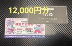 2026年最新】ヴィレッジ.ヴァンガード株主優待券12000の人気アイテム