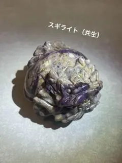 【希少】スギライト（共生）　龍亀（ロングイ）置物