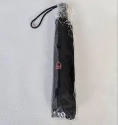 マスターマインドジャパン✖️フラグメントデザイン 折りたたみ傘