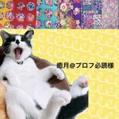 猫首輪 花柄レースリボン ＋セーフティバックル⑩RH14-2