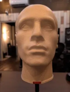 2026年最新】sr3d バイノーラルマイクの人気アイテム - メルカリ