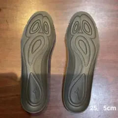 ミズノスパイクインソール