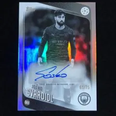 Item thumbnail for item cca03051-2d1b-488e-aca5-85814df689cc