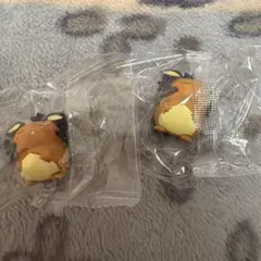 ポケモン うちのポケモンマスコット しらんぷり デデンネ ガチャ