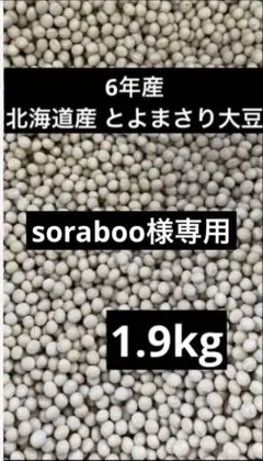 soraboo様専用