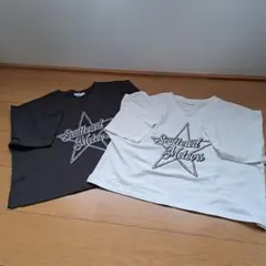 Item thumbnail for item d5b9f8f9-03ea-4709-927a-8409b1894969