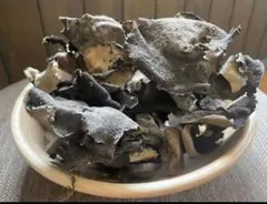 ⭐️幻のきのこ⭐️ 信州産　天然岩茸　20gのサムネイル