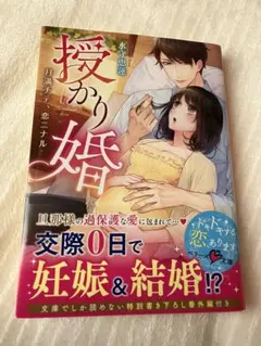 授かり婚 月満チテ、恋ニナル　ベリーズ文庫　TL小説