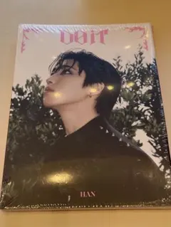 ※開封済※Straykids スキズ DO IT ACCORDION ハン