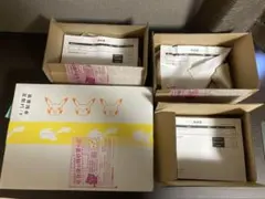 ポケセン産　ポケモンカードゲーム　クレイバースト　ナンジャモセット　シュリンク