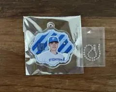 清宮幸太郎 応援グッズ