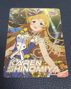 カードフォリオ mlr
