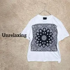 アンリラクシング　/半袖　ビッグサイズTシャツ　ペイズリー柄　メンズ　綿100%