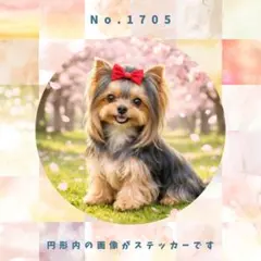 【送料無料】防水ステッカー　ヨークシャーテリアNo.1705