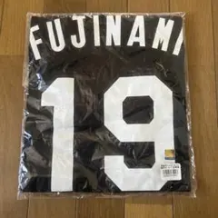 阪神タイガース 藤浪晋太郎 背番号Tシャツ 19