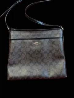 coach ショルダーバッグ　レザー　swag drip