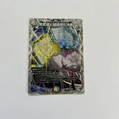 真気楼と誠偽感の決断 パーフェクトペテンシー 銀トレジャー - メルカリ