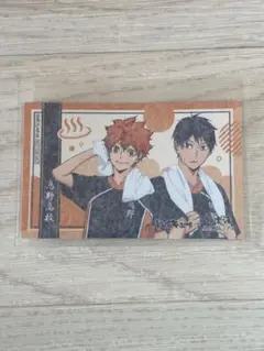 ハイキュー　極楽湯コラボ　第一弾　日向翔陽　影山飛雄　烏野　和紙風カード　非売品