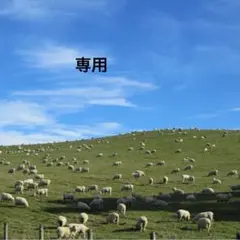 Item thumbnail for item ba006238-8b37-4986-bab8-266448b9f880