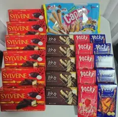 シルベーヌ・ポッキー・チョコ系お菓子の詰め合わせ♪
