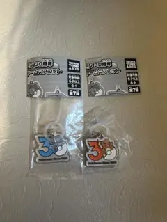 ポケモン　30周年 メタルチャーム　マスコット　 ゼニガメ ヒトカゲ　セット