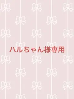 ハルちゃんさま専用‼️他の方はご購入出来ません‼️