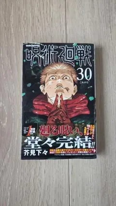 呪術廻戦 1〜30巻　初版 呪術廻戦 コミック 0-30巻セット