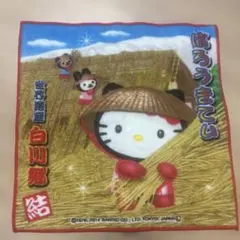 ハローキティ 名古屋限定 手羽先 プチタオル ご当地キティ - メルカリ