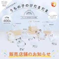 うちの子のけだまだま　犬のけだまだま チワワ（黒）