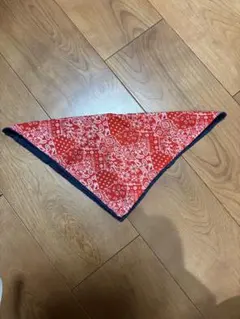 スタイ　赤　ペイズリー　トイストーリー　ウッディ　ジェシー