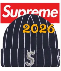 Supreme Patagonia Logo Beanie 初期希少 ビーニー - メルカリ