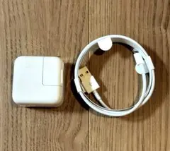 Apple純正 USBパワーアダプター充電器 10W ライトニングケーブル